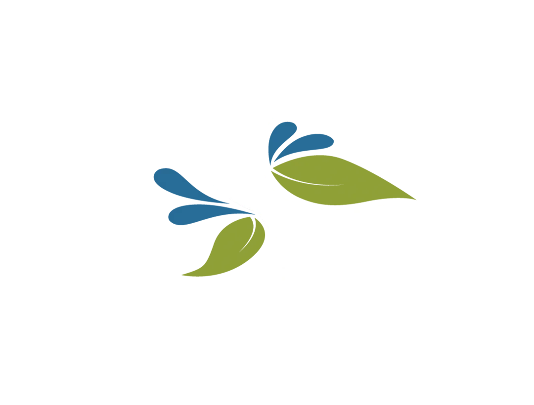 piraputangalogo