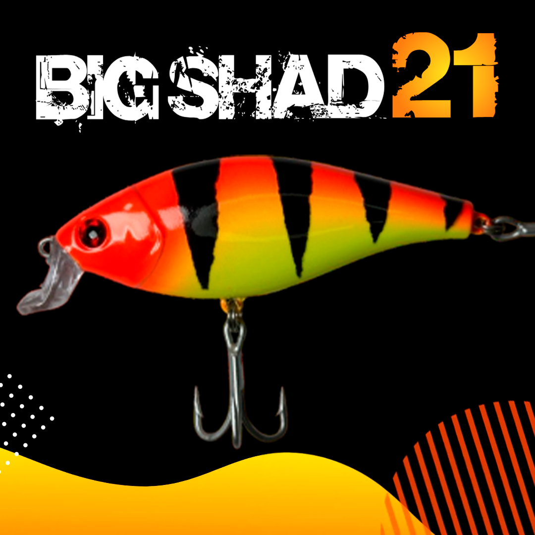 modelo-imagem-catalogo-big-shad